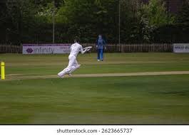 Image result for Mayfield Cricket Club