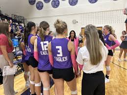 Image result for White Eagles Volleyball Club