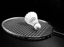 Image result for Bridge Badminton Club