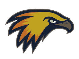 Image result for Normanton Falcons Netball Club