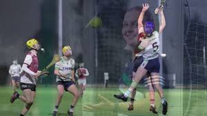 Image result for University Of Limerick Gaa Hurling Club