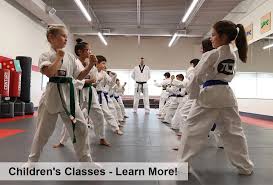 Image result for New Milton Taekwondo Club