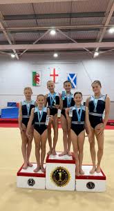 Image result for Hinckley Gymnastics Club