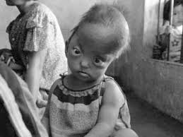 Image result for агент оранж