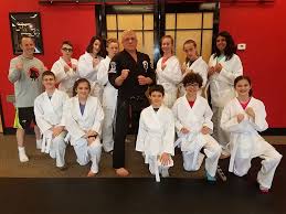 Image result for Kenpo Karate Club
