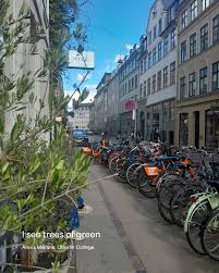 Afbeeldingsresultaat voor copenhagen bicycle counter