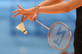 Image result for Warwick Bears Badminton Club