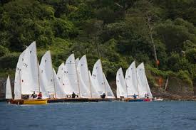 Image result for Salcombe Yacht Club