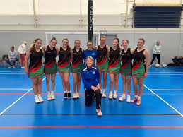 Image result for Plymouth Civil Service Netball Club