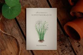 Image result for Schnittknoblauch