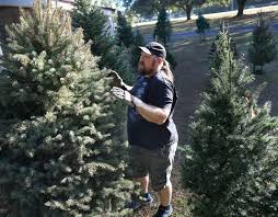 Image result for Archer Road Club