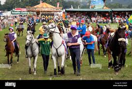 Image result for Chiddingfold Branch Of The Pony Club
