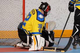 Image result for Llantwit Lions