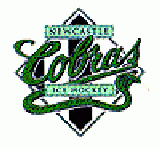 Image result for Newcastle Riverkings