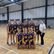 Image result for Verwood Town Netball Club