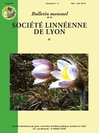 Attēlu rezultāti vaicājumam “Dendrophagus crenatus”