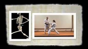 Image result for Jin Sei Kai Shotokan Karate
