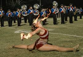 Image result for Saltire Twirlers