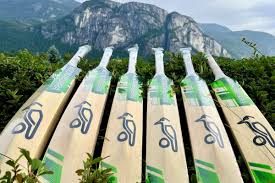 Image result for Bat Sports Cricket Club