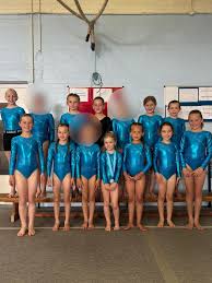 Image result for Uckfield Gymnastics Club