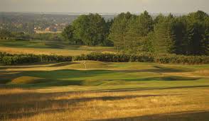 Image result for Central London Golf Club