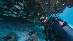 Image result for World Divers