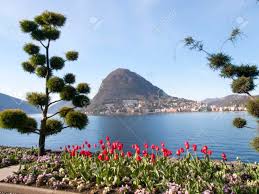 Image result for "Parco Ciani"