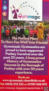 Image result for Gymmagic