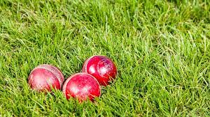 Image result for Shelf Cricket Club