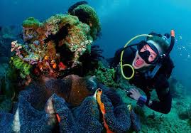 Image result for Southdown Divers