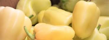 Afbeeldingsresultaat voor hungarian sweet white sweet pepper