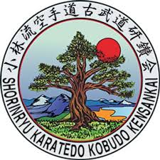 Image result for Renrukan school of continuous attack