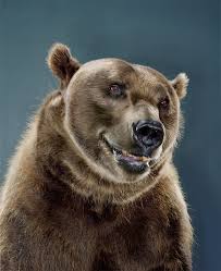 Image result for jill greenberg