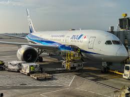 Image result for ana