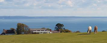 Image result for Clyne Golf Club Limited