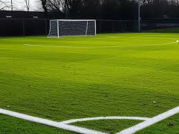 Image result for St Peter Shared Church Fc