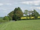 near to Weedon Lois, Northamptonshire, Great Britain. Oxford Lane byway - via Daymix
