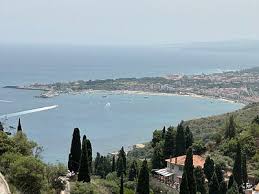 Attēlu rezultāti vaicājumam “Licea castanea”