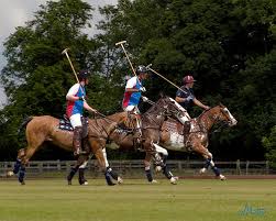 Image result for Woolmers Park Polo Club