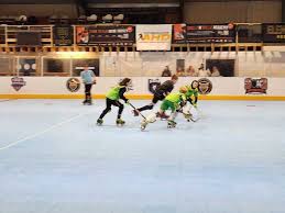 Image result for Walsall Roller Hockey Club