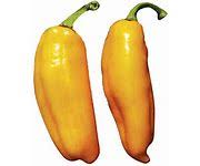 Afbeeldingsresultaat voor marconi golden sweet pepper