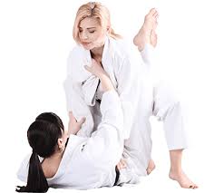 Image result for AAZENTAI JU JITSU