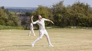 Image result for All Cannings Cricket Club