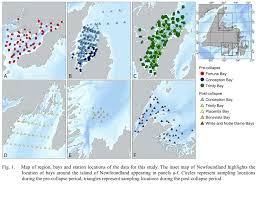 Image result for Myzopsetta ferruginea