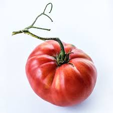 Afbeeldingsresultaat voor caro rich tomato