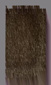 Attēlu rezultāti vaicājumam “Physarum braunianum macro”