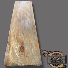 Image result for Sycamore Ttc