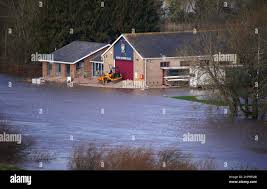 Image result for Ross Rowing Club