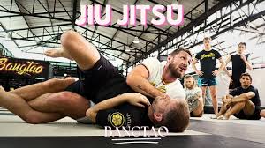 Image result for Bristol Dojo MMA