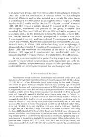 Attēlu rezultāti vaicājumam “Fossombronia wondraczekii sporophyte”